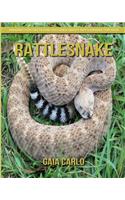 Rattlesnake