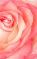 Pink Rose Mini Notebook