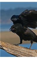 Raven Notebook: 150 Lined Pages, Softcover, 6 X 9