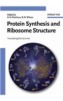 Protein Synthesis and Ribosome Structure