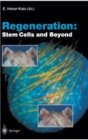 Regeneration: Stem Cells and Beyond