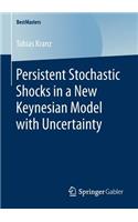 Persistent Stochastic Shocks in a New Keynesian Model with Uncertainty