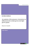 An analysis of the presence of proteins on different levels in dark grown and light grown plants
