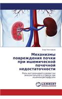 Mekhanizmy Povrezhdeniya Pochki Pri Ishemicheskoy Pochechnoy Nedostatochnosti