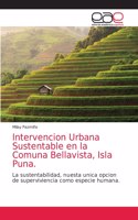 Intervencion Urbana Sustentable en la Comuna Bellavista, Isla Puna.