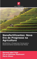 Nanofertilizantes