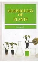 Morphology Of Plants