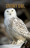 Snowy owl: Incredible Pictures Book about Snowy owl