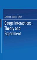 Gauge Interactions