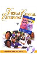Virtual Clinical Excursions 1.0 to Accompany Medical-Surgical Nursing