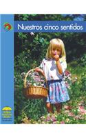 Nuestros Cinco Sentidos