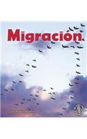 Migración (Migration)