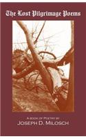 Lost Pilgrimage Poems