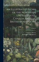 Illustrated Flora of the Northern United States, Canada and the British Possessions; Volume I