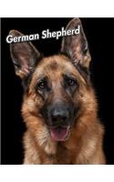 German Shepherd: Blank Sheet Music 150 pages 8.5 x 11 in. 12 Staves Per Page Music Staff Composition Notation Songwriting Staff Manuscript