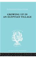 Growing Up in an Egyptian Village