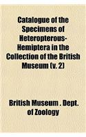 Catalogue of the Specimens of Heteropterous-Hemiptera in the Collection of the British Museum (V. 2)