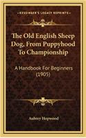 Old English Sheep Dog, From Puppyhood To Championship: A Handbook For Beginners (1905)