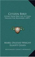 Citizen Bird: Scenes from Bird Life in Plain English for Beginners (1897)