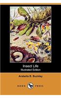 Insect Life (Illustrated Edition) (Dodo Press)