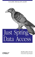 Just Spring Data: Covers Jdbc, Hibernate, Jpa and Jdo(English)
