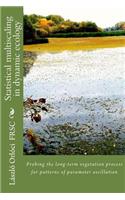 Statistical multiscaling in dynamic ecology: Probing the long-term vegetation process for patterns of parameter oscillation