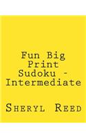 Fun Big Print Sudoku - Intermediate: Large Grid Sudoku Puzzles