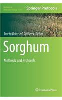 Sorghum: Methods and Protocols(1931 Methods in Molecular Biology)
