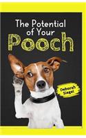 Potential of Your POOCH