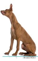 Pharaoh Hound Affirmations Workbook Pharaoh Hound Presents