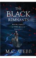 The Black Remnants