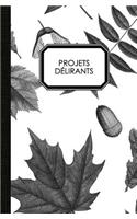 Projets délirants