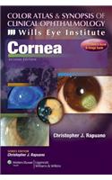 Wills Eye Institute - Cornea