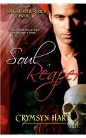 Soul Reaper Series Book II