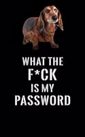 What The F*CK Is My Password, Long Haired Dachshund