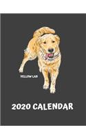 2020 Yellow Lab Calendar: Dog Lover Gifts - A 52-Week Weekly Planner