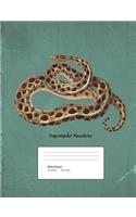 Snake Boa Constrictor Composition Book Wide Ruled: Notebook 200 pages 100 sheets
