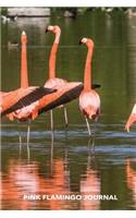 Pink Flamingo Journal