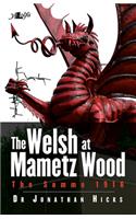Welsh at Mametz Wood, The Somme 1916, The