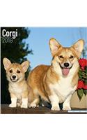 Corgi Calendar 2018 (Square)