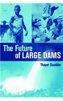 The Future of Large Dams