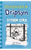 Dyddiadur Dripsyn: Storm Eira