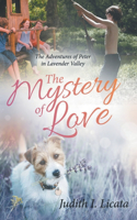 Mystery of Love