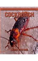 Cockroach