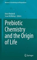 Prebiotic Chemistry and the Origin of Life