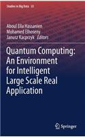 Quantum Computing:An Environment for Intelligent Large Scale Real Application: (33 Studies in Big Data)