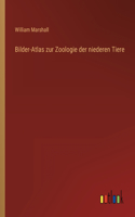 Bilder-Atlas zur Zoologie der niederen Tiere