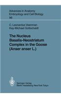 Nucleus Basalis-Neostriatum Complex in the Goose (Anser Anser L.)