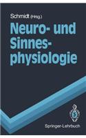 Neuro- Und Sinnesphysiologie