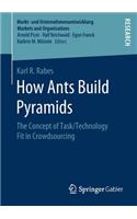 How Ants Build Pyramids: The Concept of Task/Technology Fit in Crowdsourcing